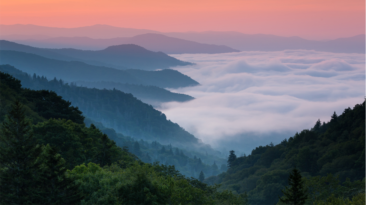 Crédit: Keneva Photography, Shutterstock Crédit: Keneva Photography, Shutterstock